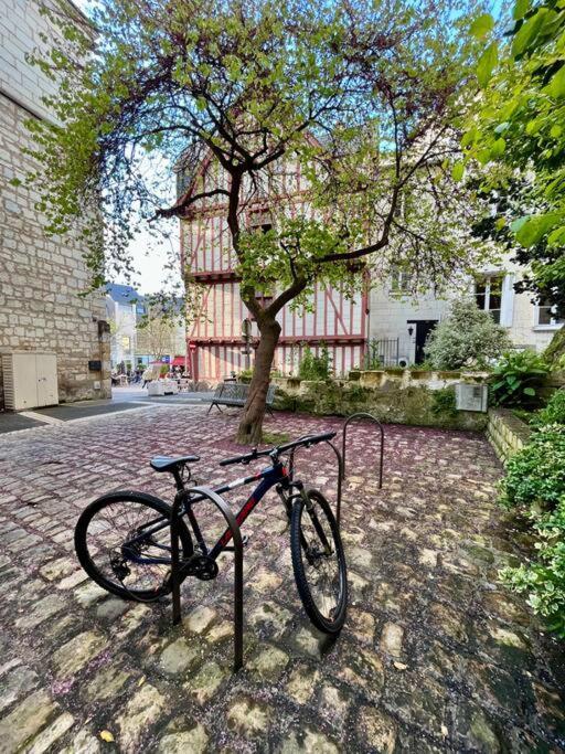 Appartement Cosy Hypercentre Place St Pierre Saumur Eksteriør bilde